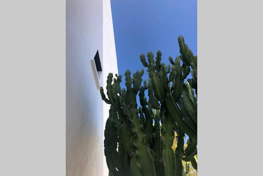 Casa Granado En Cabo De Gata Villa Rodalquilar Kültér fotó